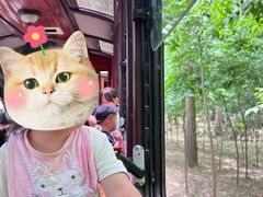 -合肥滨湖国家森林公园