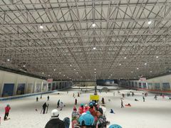 -绍兴启迪乔波冰雪世界