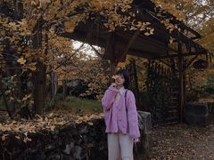 -腾冲国萍农家乐