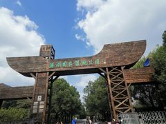 -溱湖国家湿地公园