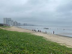 -红月湾海鲜饭店•沙滩海景(双月湾店)
