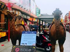 -敦煌夜市