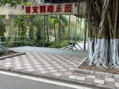 -广东茂名森林公园