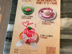 -大头椰·椰子鸡火锅(南宁万象城店)