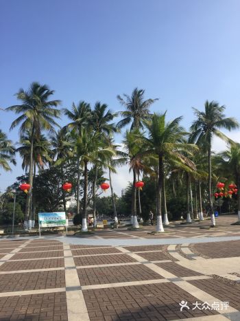 吉祥道具，挺好。一路走着享受春天，享受好空气