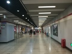 -桃浦新村(地铁站)