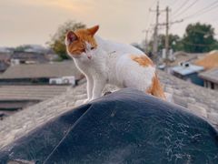 -前叁門