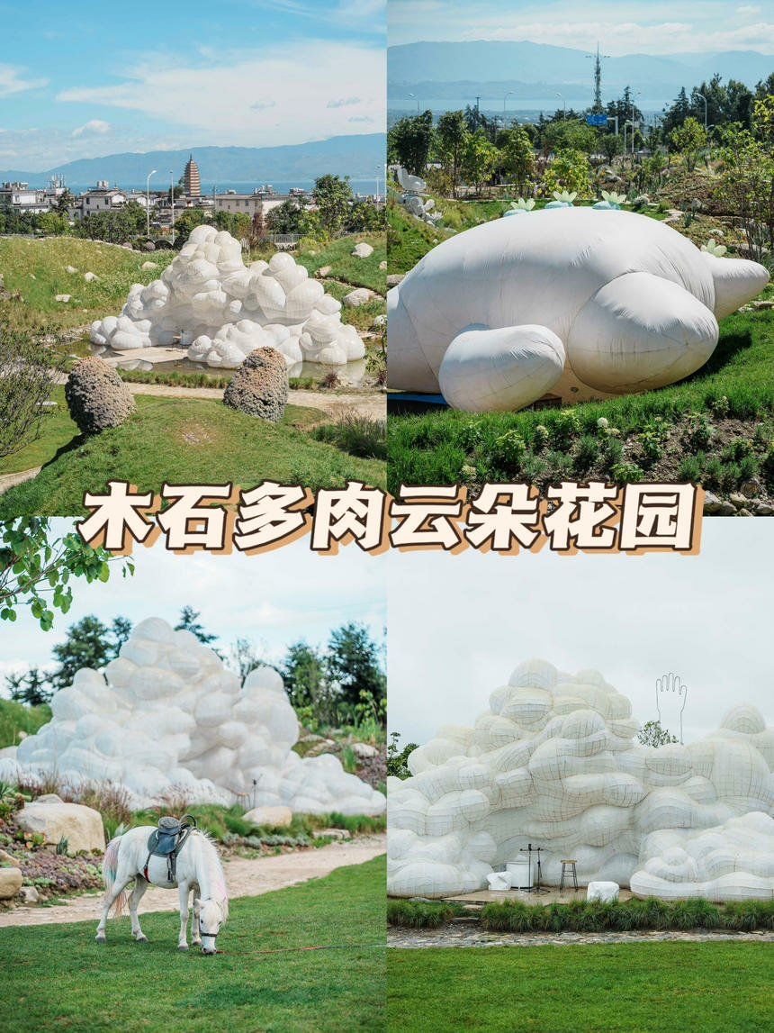 大理亲子游好去处!木石多肉云朵花园