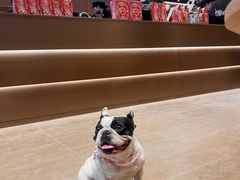 -霸王茶姬(上海龙湖云廊天街店)