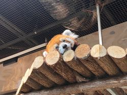 -Zoolung Zoolung动物主题公园(海信广场店)