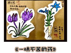 -杨梅红艺术教育(西安高新唐延教学中心)