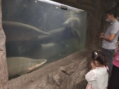 -青青世界