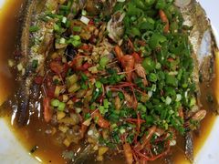 -全乐鱼馆·淳牌有机鱼直营店