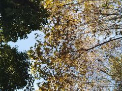 -NEA BAY咖啡馆