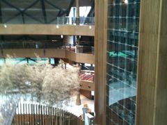 -上海滴水湖皇冠假日酒店