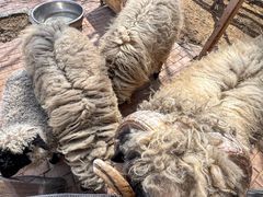 -水上乐园·欢乐世界