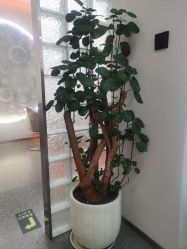 -艾美A·M Hair Salon