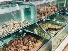 水产区-海岸风情蒸汽海鲜自助餐厅(家宴金手勺店)
