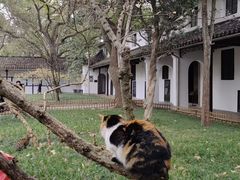 -西园戒幢律寺