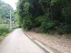 -芦沟竹海