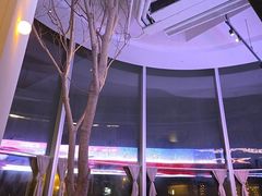 -一棠龙虾•王牌虾球(恒隆广场店)