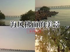 -宝安西湾红树林湿地公园