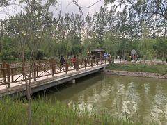 -杨柳青庄园