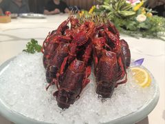 -洪福龙虾