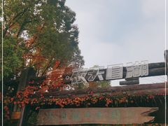-天目湖山水园