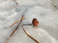 -马家湾湿地公园