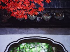 -秋霞圃