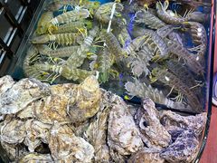 -吴记富苑(朝阳店)