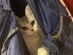 -热高乐园巴厘岛水世界