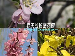 -迎泽公园