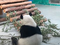 -柳州市动物园