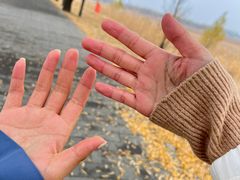 -野鸭湖国家湿地公园