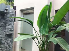 -广州都喜泰丽温泉度假酒店