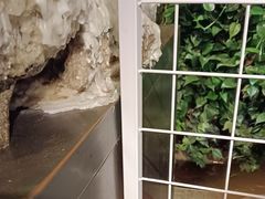 -外婆家(杭州马塍店·杭帮菜名店)