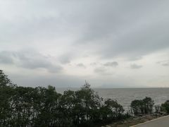 -深圳湾公园(南山区)
