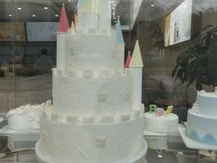 -蒲公英(五里店)