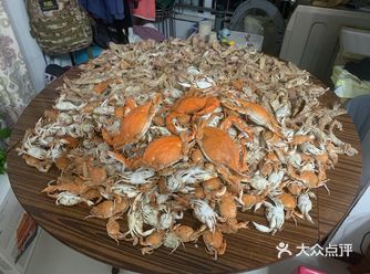 见到海里的螃蟹，才明白***终归是***！