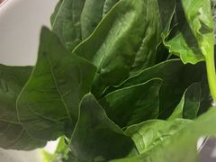 -前门·鲜肉火锅(长风店)