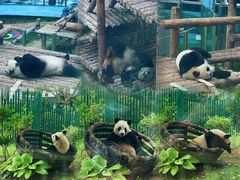 -大连森林动物园