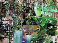 -原味田园·客家菜·土窑鸡(中航城君尚购物中心店)