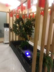 -芳朵美容养生SPA