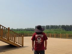 -白洋淀景区