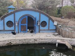-南宫五洲植物乐园