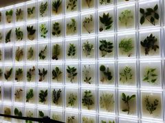 -广东中医药博物馆