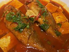 黄鱼烧豆腐-楼兰古丽·新疆拌面·清真(华阳城店)