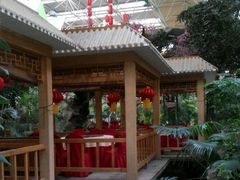 android_upload_pic-新世纪绿洲(抚顺店)